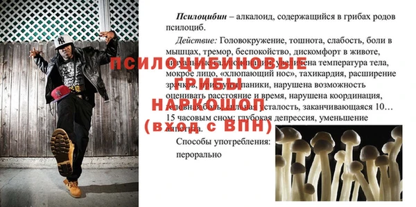 метадон Новозыбков