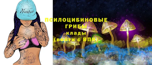 хмурый Няндома